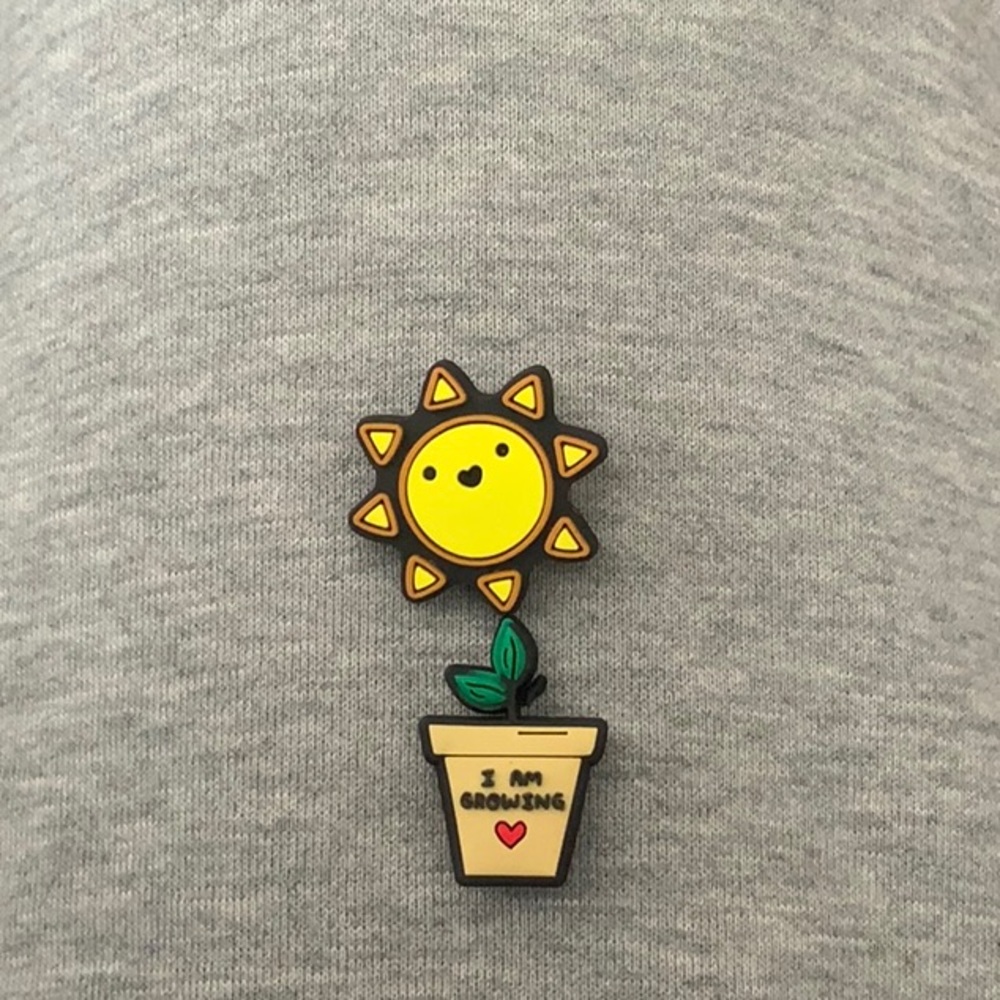 2/$7 Croc charms plant